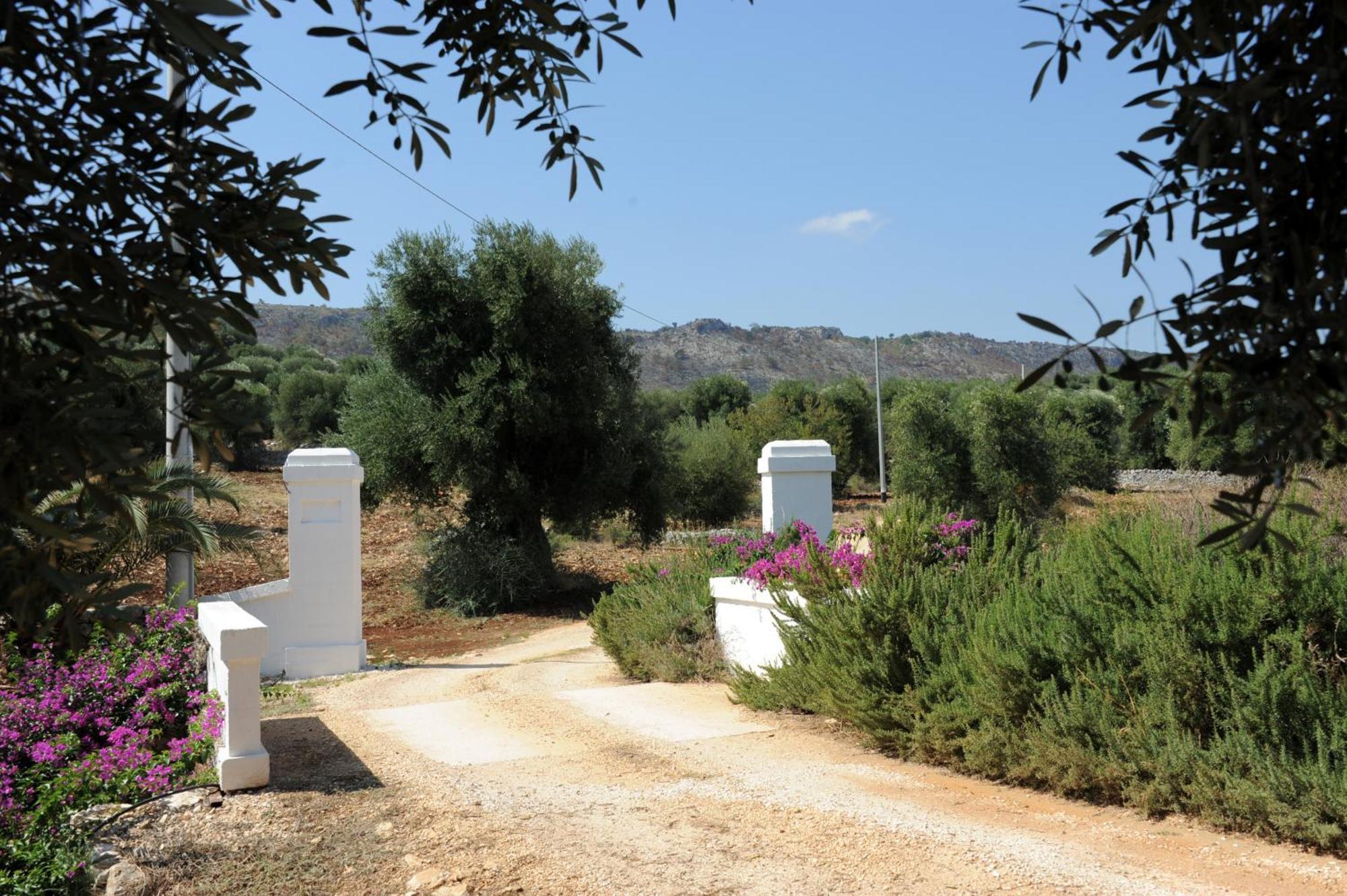 Masseria Lama Di Galizia Ostuni Eksteriør billede