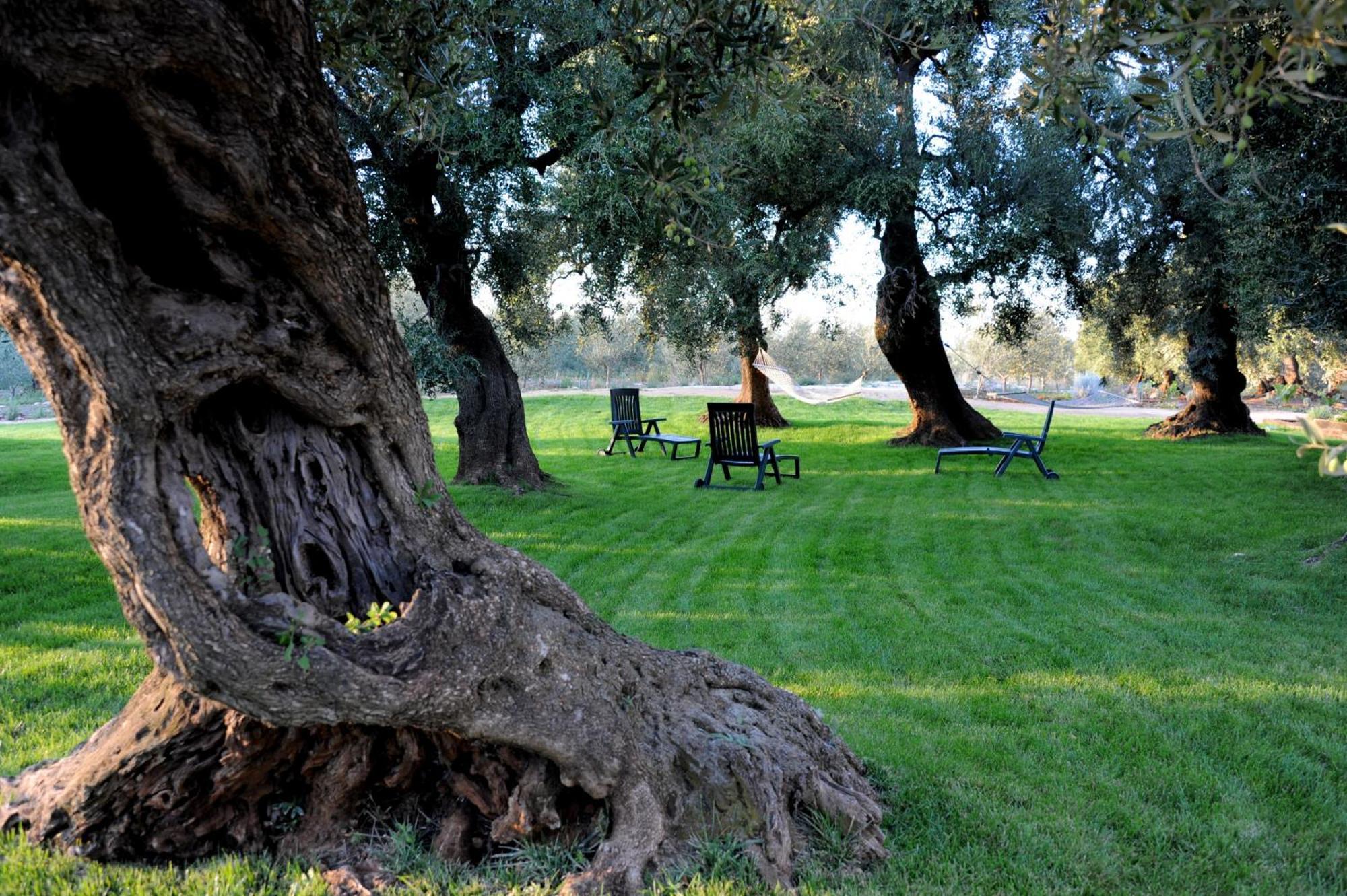 Masseria Lama Di Galizia Ostuni Eksteriør billede