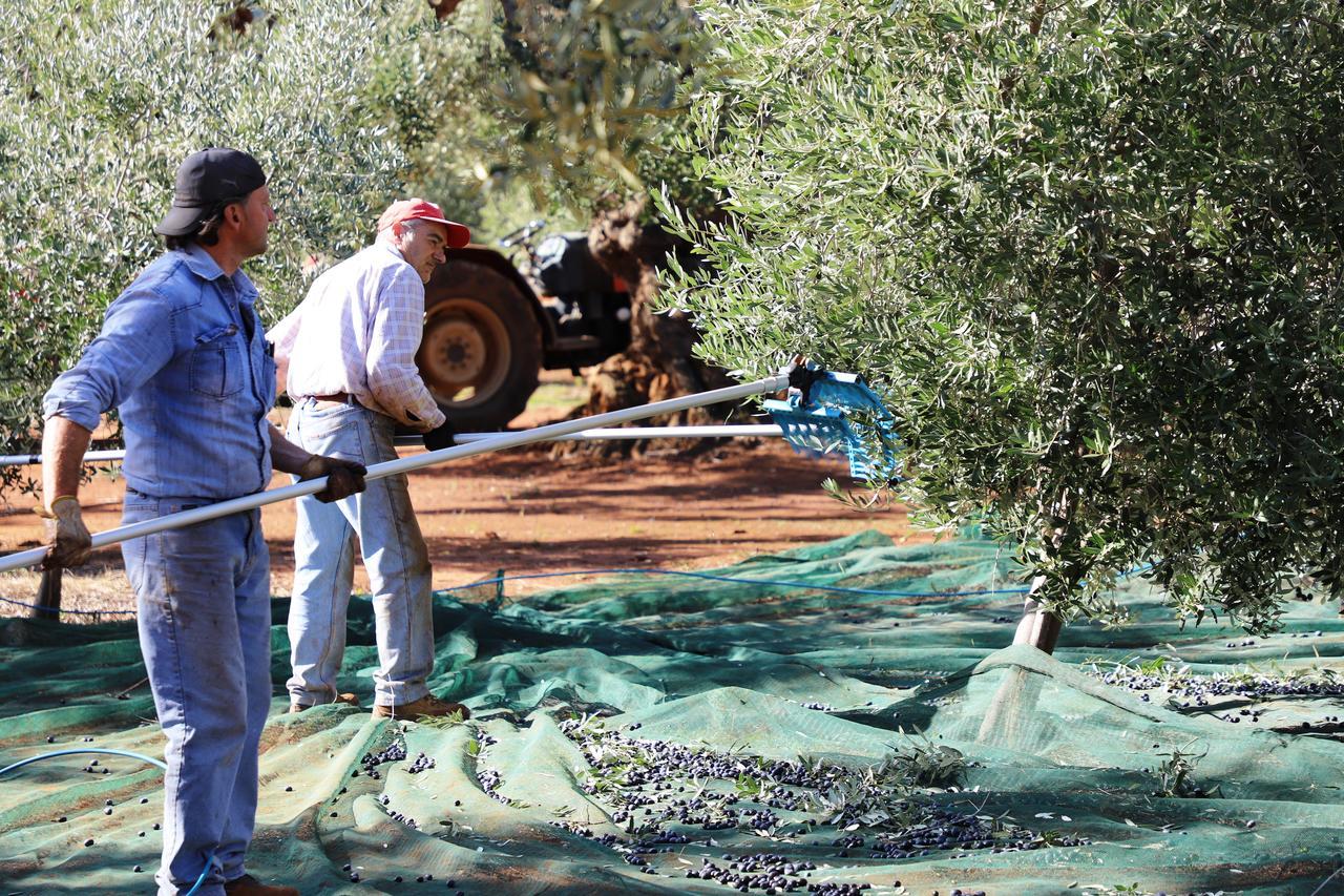 Masseria Lama Di Galizia Ostuni Eksteriør billede