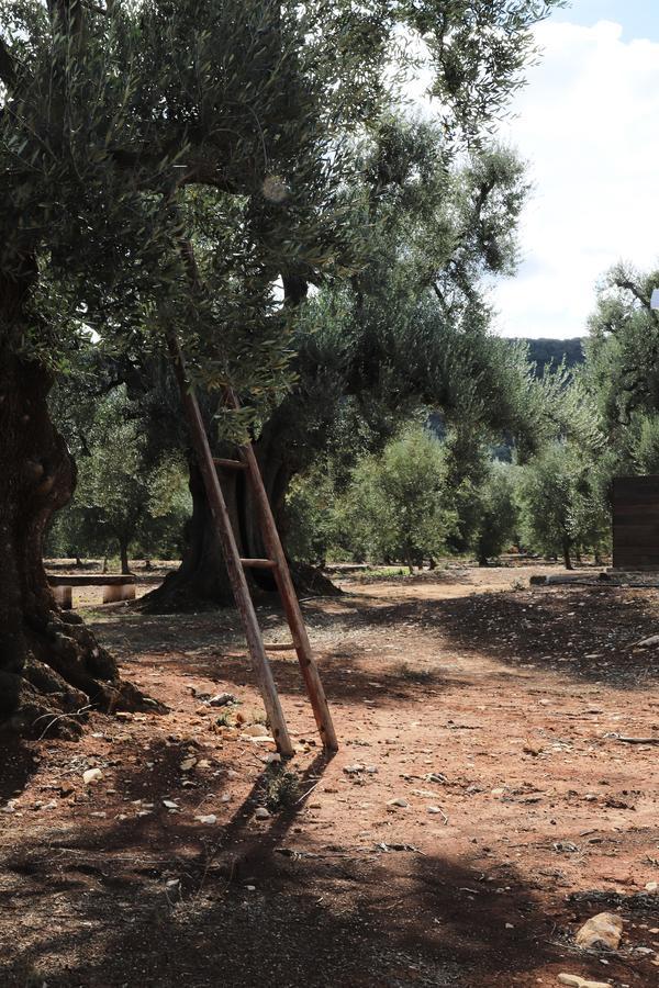 Masseria Lama Di Galizia Ostuni Eksteriør billede